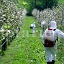 Sperimentazioni Biofarm